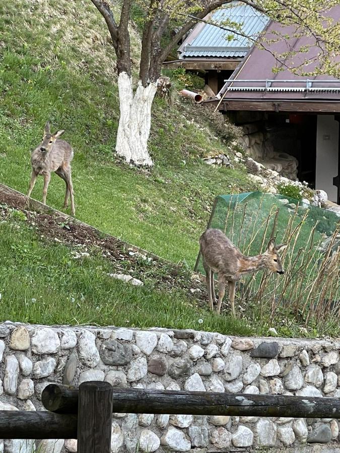 Appartamento In Montagna Venas Extérieur photo